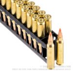 200 Rounds of .223 Ammo by Hornady Superformance Varmint - 53gr Polymer Tipped - Image 2