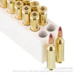 20 Rounds of .243 Win Ammo by Winchester Copper Impact - 85gr Copper Extreme Point - Image 2
