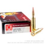 200 Rounds of .243 Win Ammo by Hornady Superformance - 95gr SST