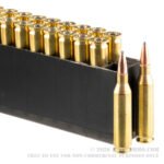 200 Rounds of .243 Win Ammo by Hornady American Whitetail - 100gr SPBT - Image 2