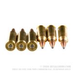 200 Rounds of .243 Win Ammo by Hornady American Whitetail - 100gr SPBT - Image 3