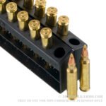 20 Rounds of .223 Ammo by Hornady - 55gr V-Max - Image 2