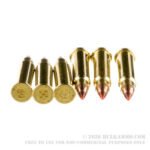 50 Rounds of .17HMR Ammo by Hornady - 17gr V-MAX - Image 3