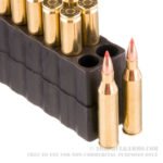 20 Rounds of .243 Win Ammo by Black Hills Gold - 58gr V-MAX - Image 2